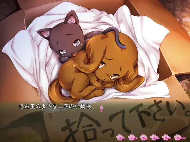 にくキュン おんがえし ～助けた2匹が女の子になってやってきた～ 预览图 1