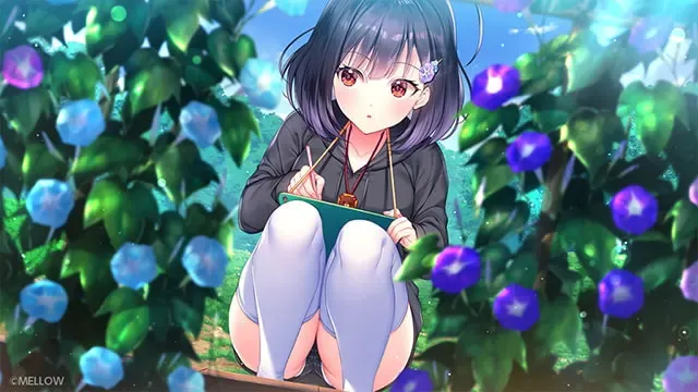 牵牛花不识夜。 预览图 14