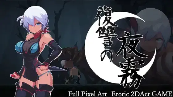 复仇的夜雾 封面