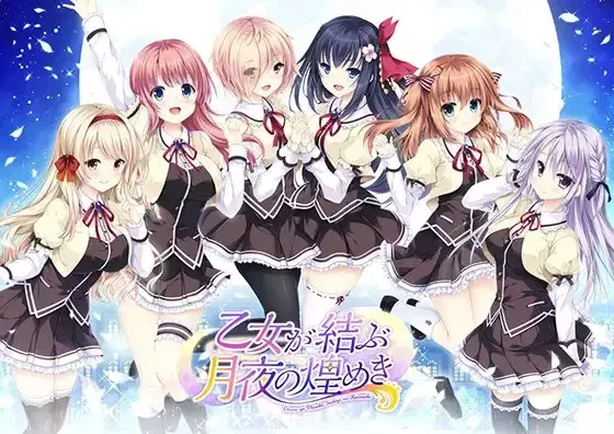 少女缔结的月之光辉 封面
