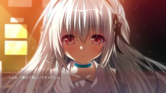 特里诺兰 预览图 8
