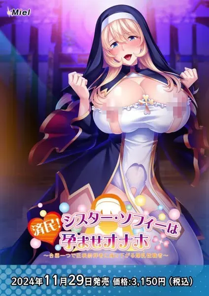 修女索菲的秘密花园 封面