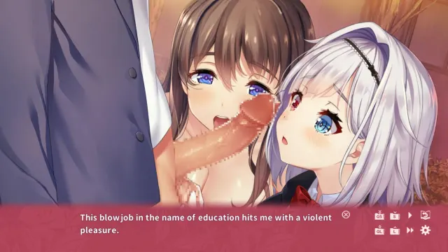 NinNinDays2 预览图 2