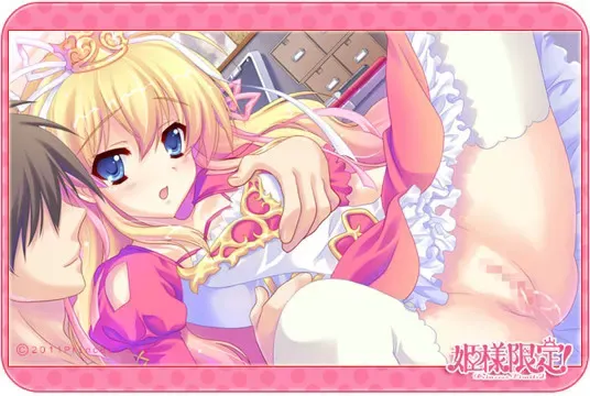 姫様限定！～Princess Limited～ 预览图 9