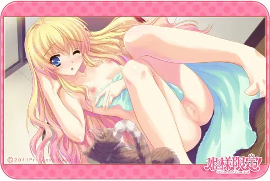 姫様限定！～Princess Limited～ 预览图 7
