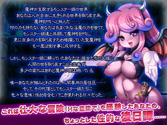 被侵犯的勇者Ⅳ～ANOTHER STORY～ 预览图 1