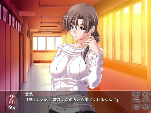女奴隶 ~ 放学后被侵犯 预览图 5