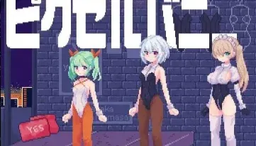 像素兔女郎们 封面