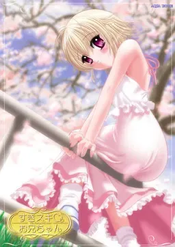 喜欢喜欢哥哥 ~The Pretty Little Sister~ 封面