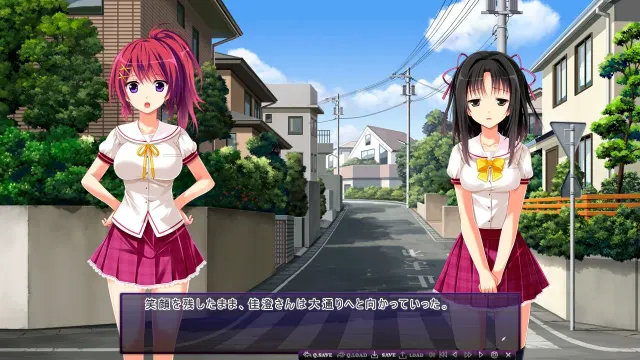 为救姐姐而玷污留下的姐妹的背德之日 + 白浊×后宫补丁－ 预览图 7