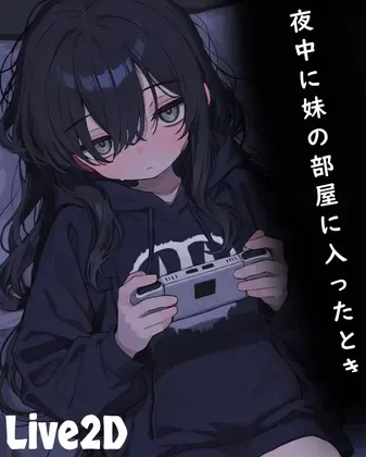 夜中に妹の部屋に入ったとき 封面