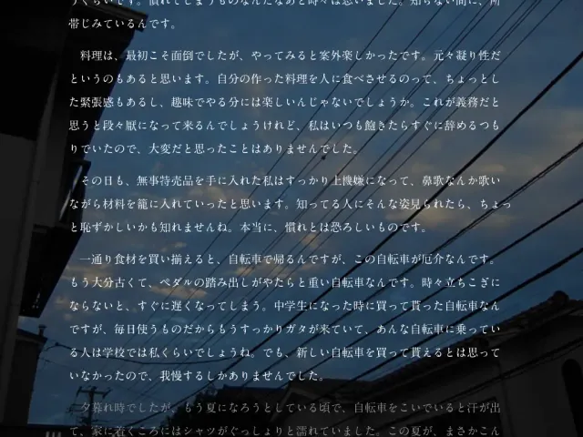 暗之部屋 预览图 5