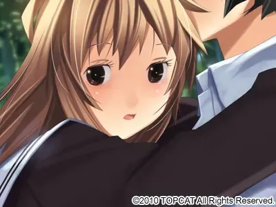 手毬花 预览图 9