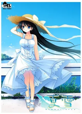 夏雪 ~summer_snow~ 封面