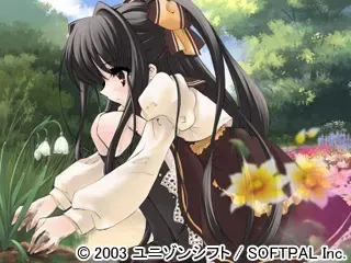 在斑驳树影中摇曳的灵魂之声 预览图 14