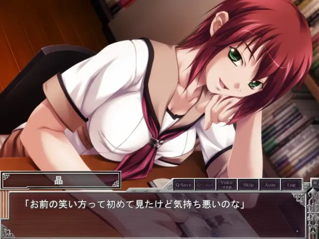 乙女蹂躙游戏 ～Maiden Infringement Play～ 预览图 4