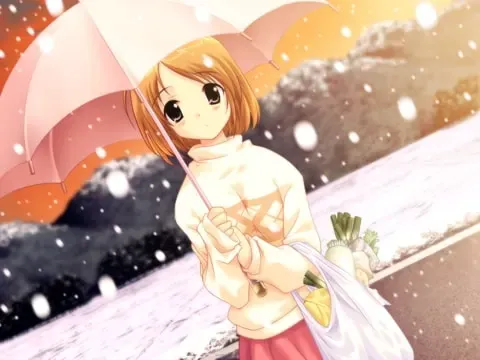 雪之華 预览图 12
