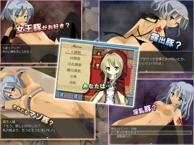 雌豚勇者 - SLAVE QUEST - 预览图 2