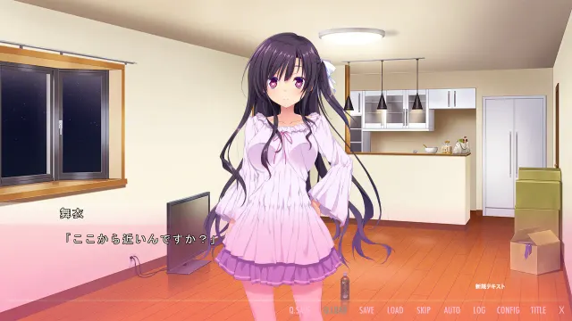 はじカノ～君がいる部屋～ 预览图 4