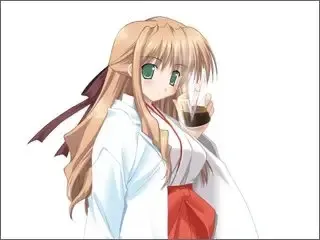 教教我巫女老师2 外传～后宫篇～ 预览图 19