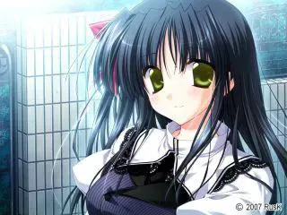 Aster 预览图 16