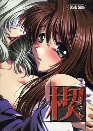 楔 封面