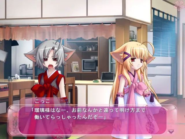 恋する式（おとめ）～SHIKIGAMI 2008～ 预览图 3