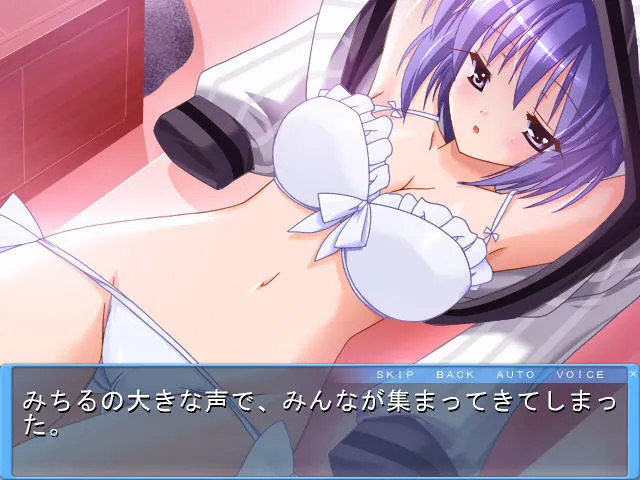 ドキドキお姉さん 预览图 7