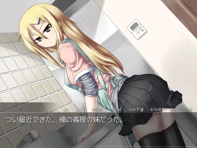 义妹飞机杯与妹妹抱持 预览图 1