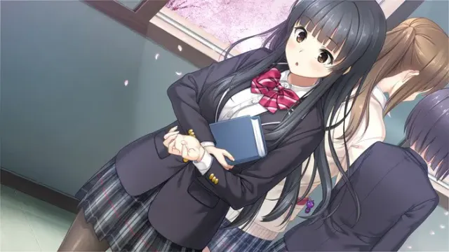 フルキスS 预览图 6