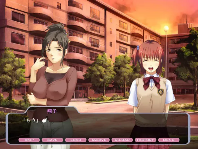 奴隶志愿网站～人妻·翔子的记录～ 预览图 3