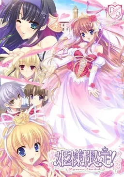 姫様限定！～Princess Limited～ 封面