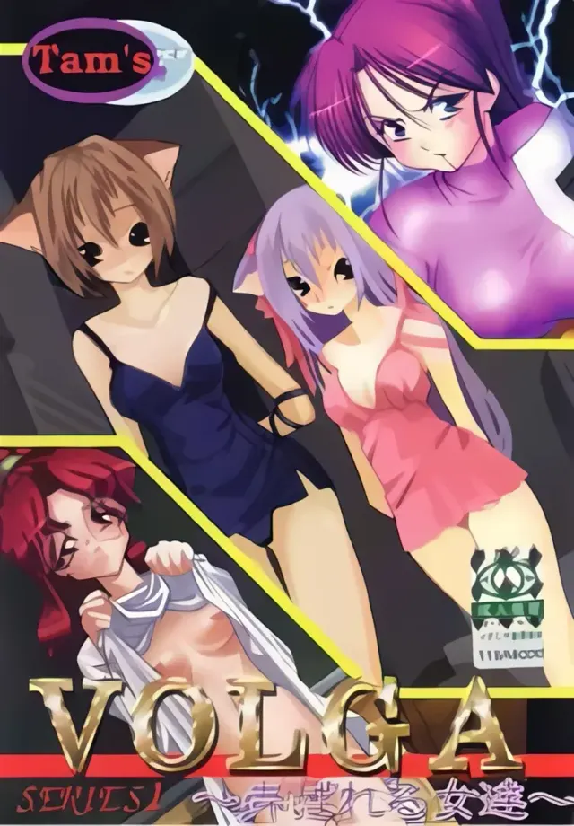 VOLGA SERIES1 ～被玩弄的女人们～ 封面