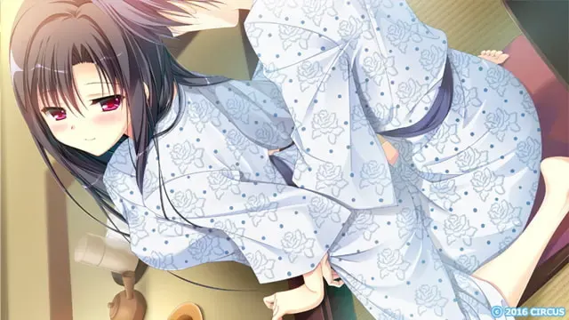 D.S. i.F. -Dal Segno- in Future 预览图 12