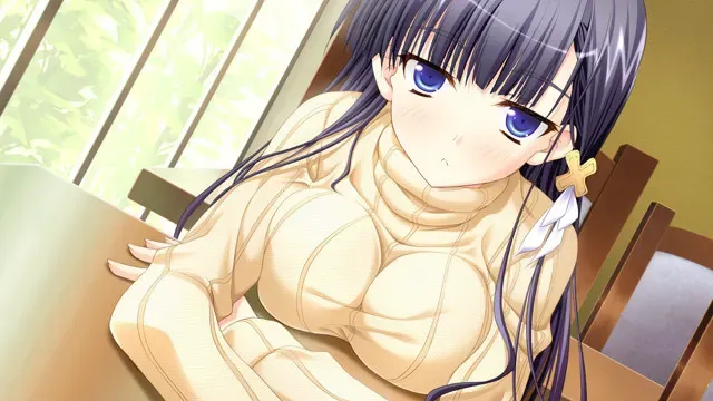 阁楼里的少女 预览图 16