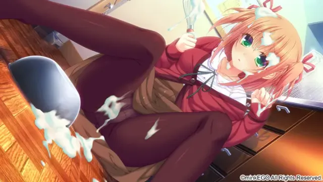魔法少女的哥哥～拙劣谎言和不良少年～ 预览图 13