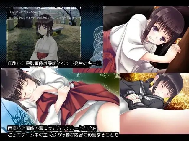 巫女收藏 预览图 3