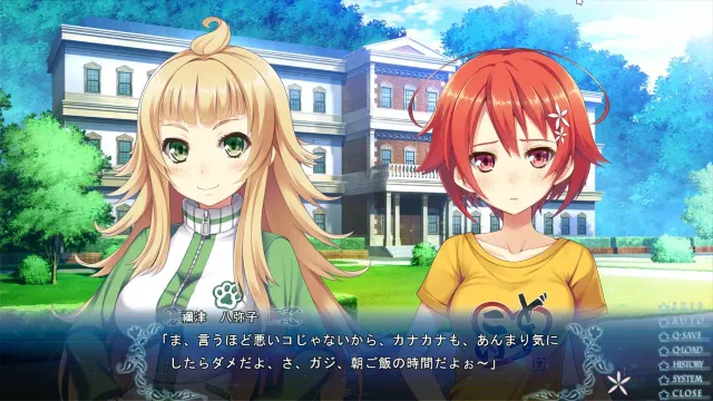 星彩的共鸣 预览图 1