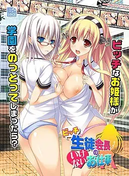 碧池学生会长的不该做的工作 封面