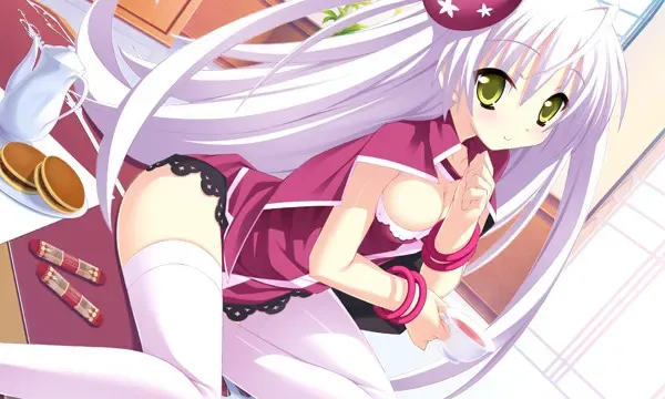 闪耀☆十字军 -Passion Star Stream 预览图 11