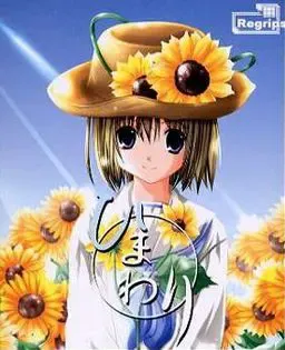 向日葵天空鹅卵石 封面