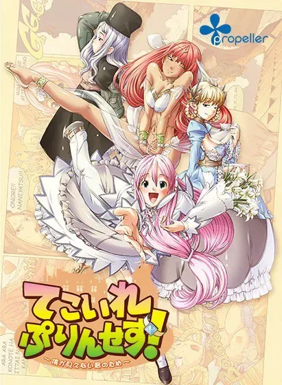 てこいれぷりんせす！～僕が見えない君のため～ 封面