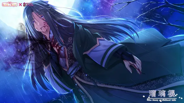 瑠璃樱 预览图 9