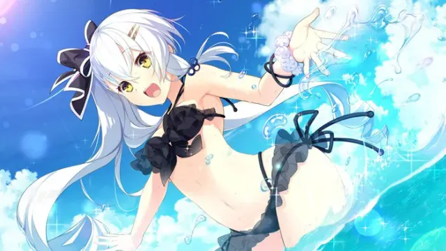 共结情缘的剑舞恋曲 -椿恋歌- 预览图 13
