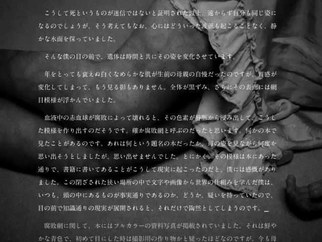 暗之部屋 预览图 3
