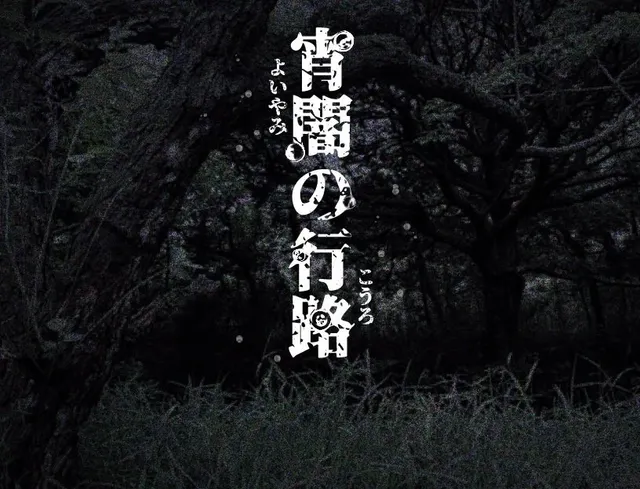 宵暗的行路 封面