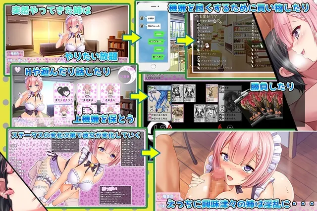姉がメイドになりまして・・・ 预览图 1