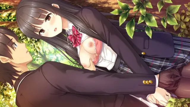 フルキスS 预览图 12
