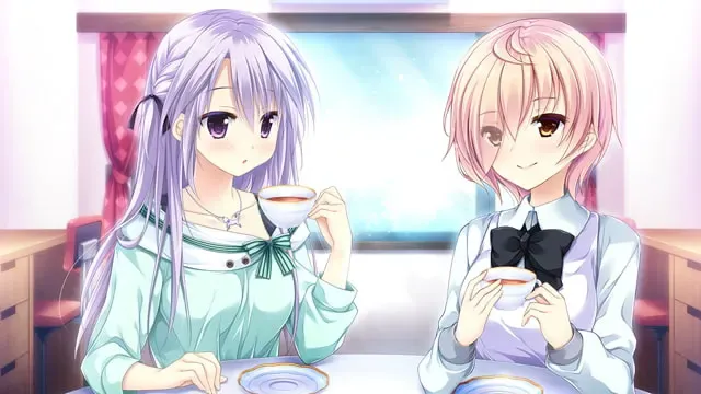 少女缔结的月之光辉 预览图 16