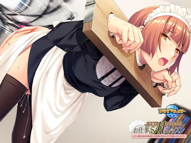 可爱Ｍ女仆的工作ＳＭ课程～一族相传的秘技，由我代先代传授～ 预览图 11